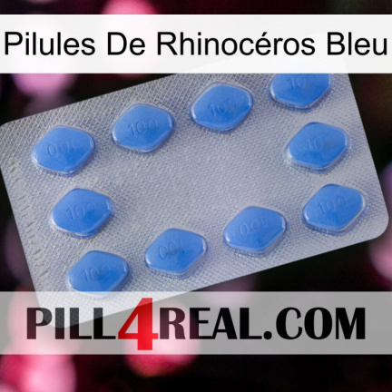 Pilules De Rhinocéros Bleu 21